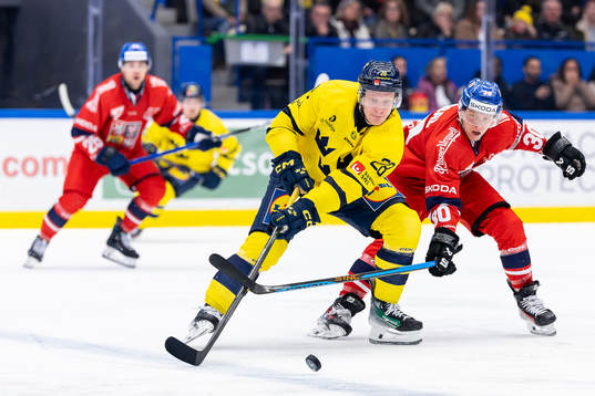 Anton Bengtsson of Sweden and Pavel Kousal of Czech Republic