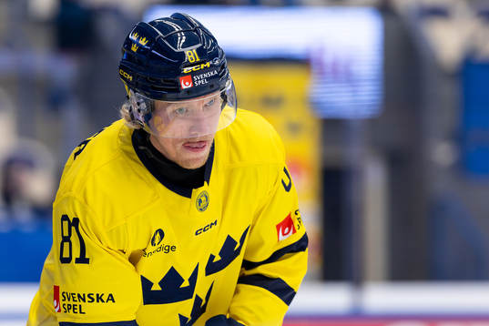 Marcus Sylvegård of Sweden