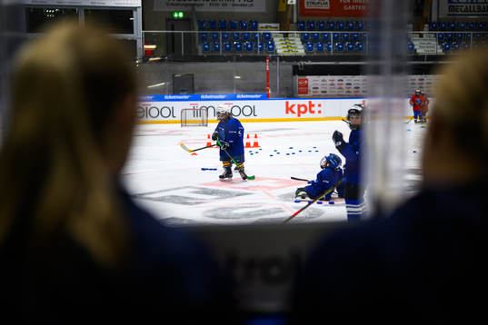 Young ice hockey players