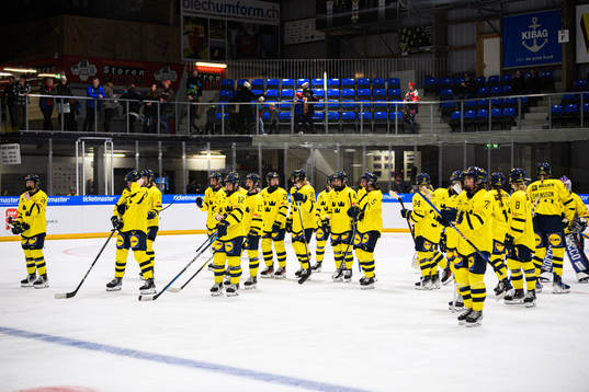 Players of Sweden