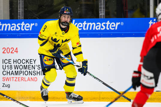 during the international friendly Ice hockey game between