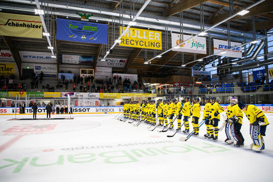 Players of Sweden