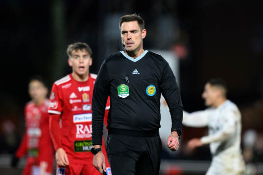 Domare Magnus Lindgren