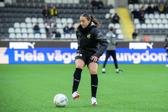Häckens Rusul Rosa Kafaji