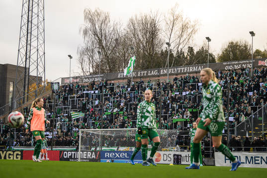 Hammarbys supportar