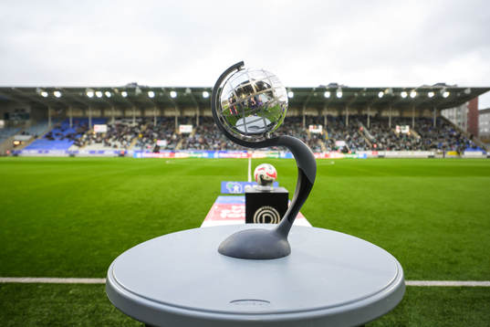 Kronprinsessan Victorias pokal