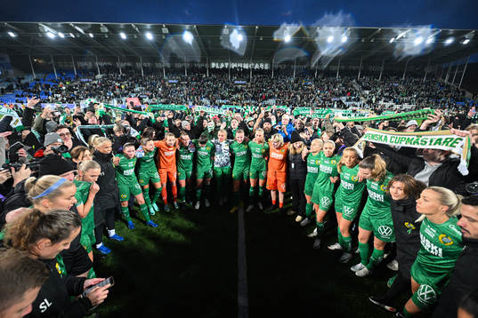 Hammarbys spelare och supportrar