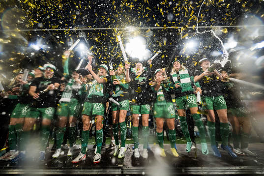 Hammarbys spelare jublar