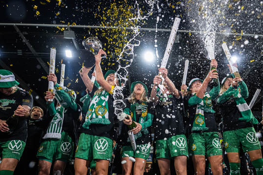 Hammarbys spelare jublar över SM-guldet