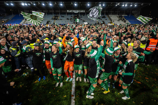 Hammarbys spelare jublar över SM-guldet