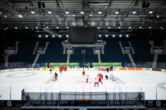 Players of Detroit Red Wings