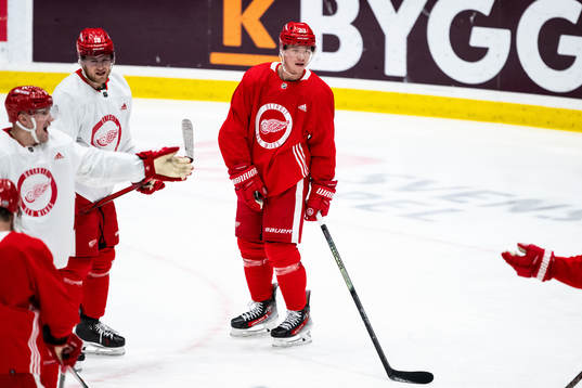 Andrew Copp and Lucas Raymond of Detroit Red Wings