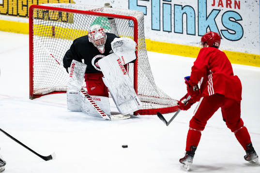 goalkeeper Alex Lyon of Detroit Red Wings
