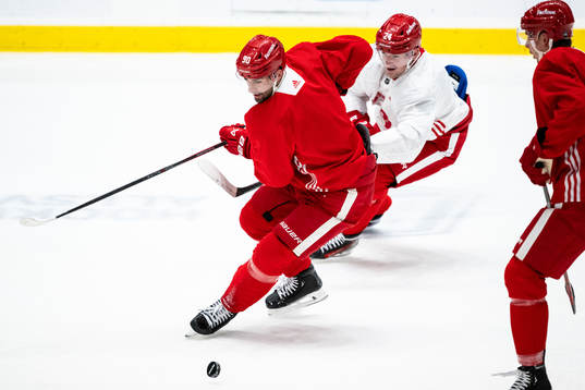 Joe Veleno and Klim Kostin of Detroit Red Wings