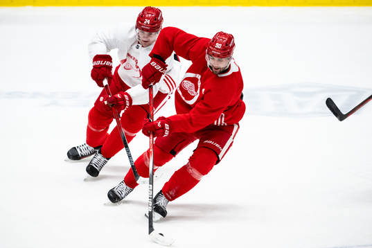 Klim Kostin and Joe Veleno of Detroit Red Wings