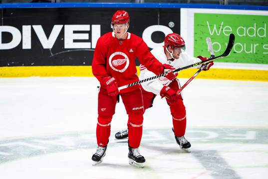 Olli Maatta of Detroit Red Wings