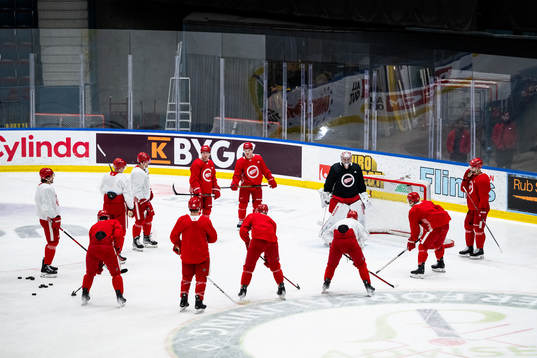 Players of Detroit Red Wings