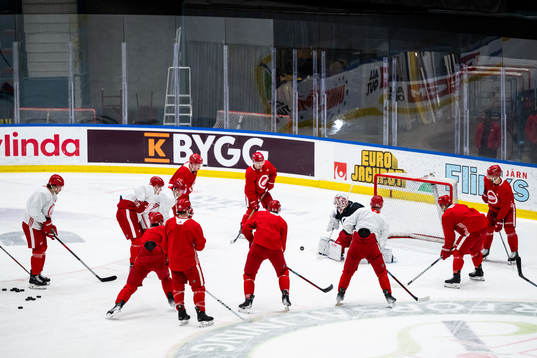 Players of Detroit Red Wings
