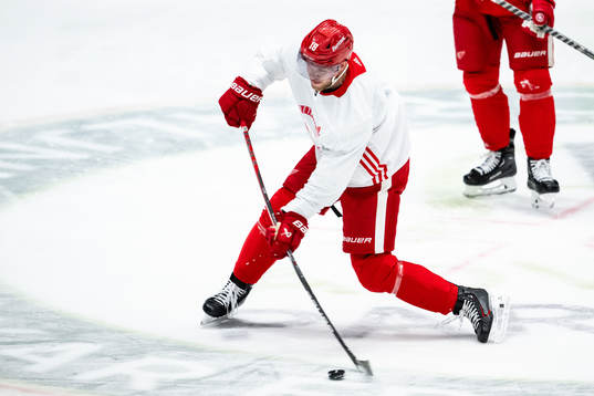 Andrew Copp of Detroit Red Wings