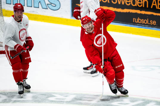 Daniel Sprong and Christian Fischer of Detroit Red Wings