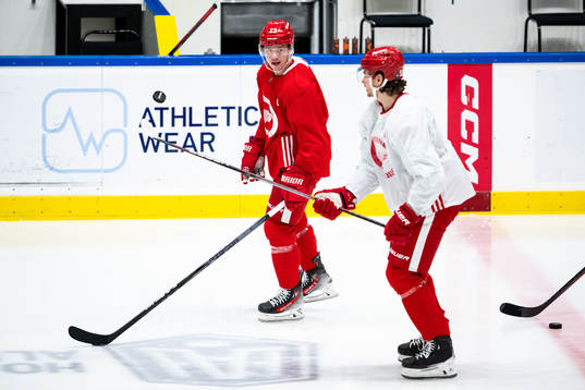Lucas Raymond and Moritz Seider of Detroit Red Wings