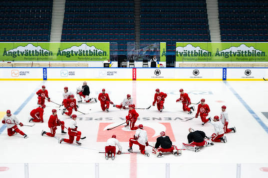 Players of Detroit Red Wings