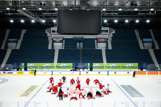 Players of Detroit Red Wings