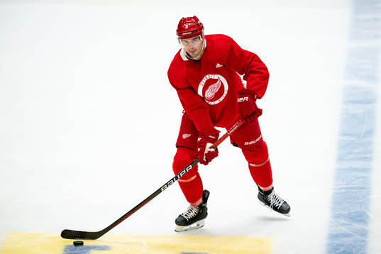 Justin Holl of Detroit Red Wings