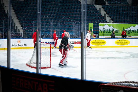 goalkeeper Alex Lyon of Detroit Red Wings