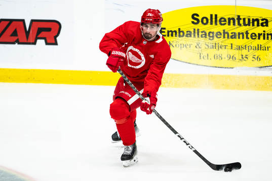 Dylan Larkin of Detroit Red Wings