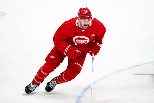 Christian Fischer of Detroit Red Wings