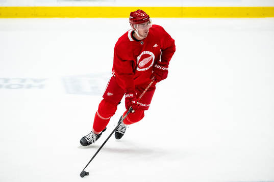 Justin Holl of Detroit Red Wings