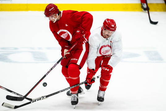 Justin Holl and Jeff Petry of Detroit Red Wings