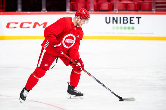 Andrew Copp of Detroit Red Wings