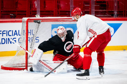 Goaltender Alex Lyon of Detroit Red Wings
