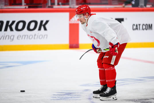 Austin Czarnik of Detroit Red Wings