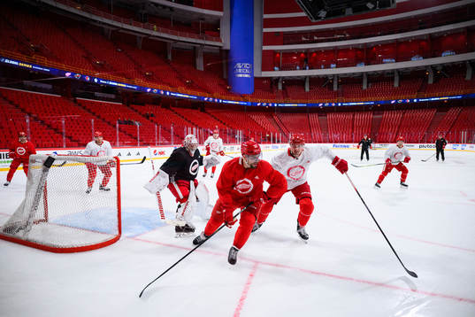 David Perron and Justin Holl of Detroit Red Wings