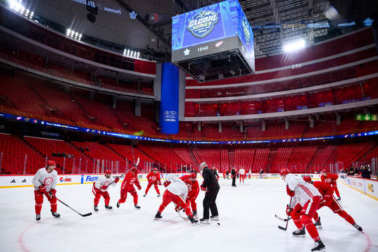 Players of Detroit Red Wings