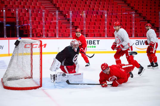 goalkeeper Alex Lyon and David Perron of Detroit Red Wings