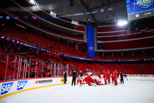 Players of Detroit Red Wings