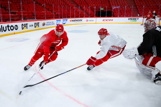 Christian Fischer and Justin Holl of Detroit Red Wings