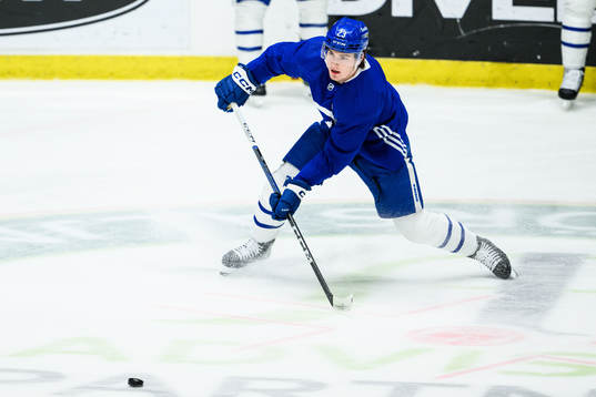 Matthew Knies of Toronto Maple Leafs