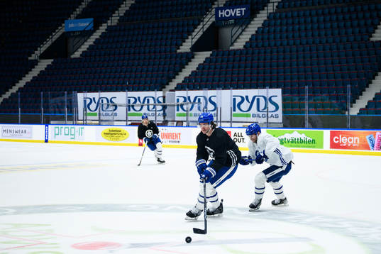 TJ Brodie and Calle Järnkrok of Toronto Maple Leafs