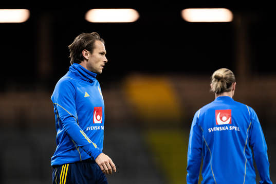 Albin Ekdal of the Swedish national football team