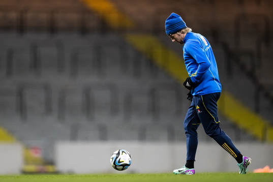 Emil Forsberg of the Swedish national football team