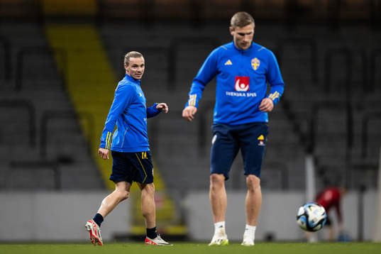 Niklas Hult of the Swedish national football team