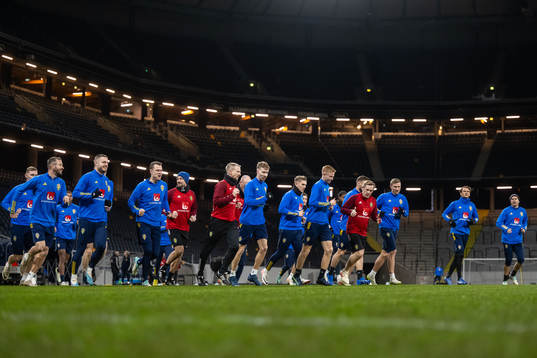 Players of the Swedish national football team