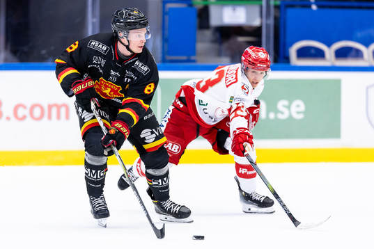 Alvestas William Wennström och Troja/Ljungbys Mika