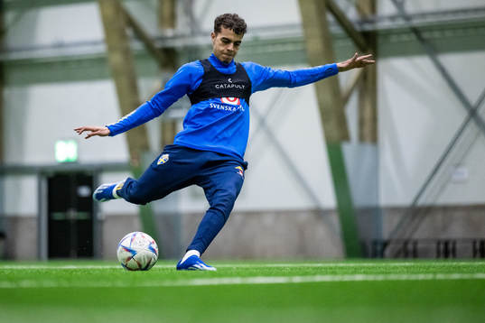 Yasin Ayari