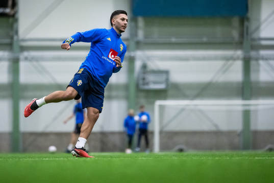 Roony Bardghji